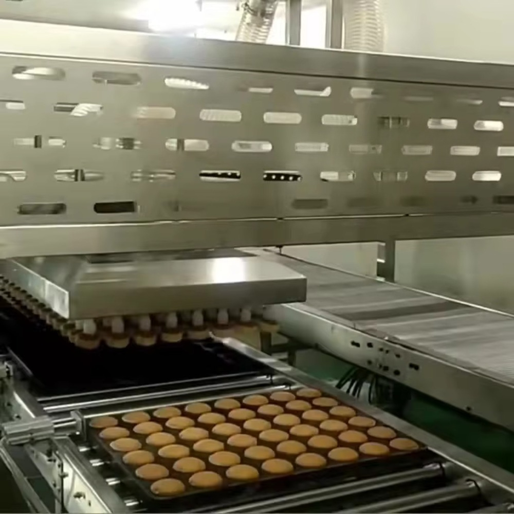 Equipo de Panadería Comercial, - Bread Maker Machine reseña y precio